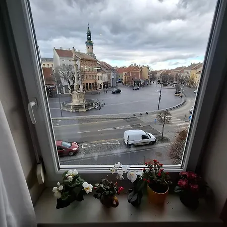 Soproniutas Centroom Apartament