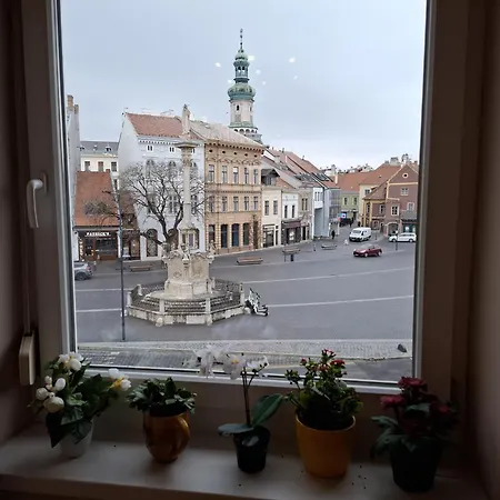 公寓 Soproniutas Centroom *