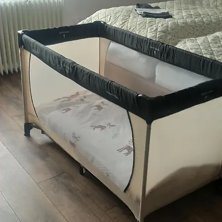 Soproniutas Centroom Lejlighed