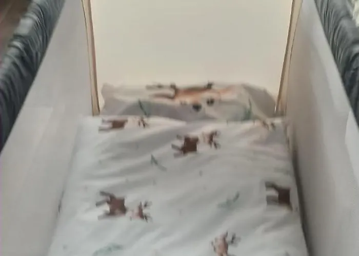 Soproniutas Centroom Apartament